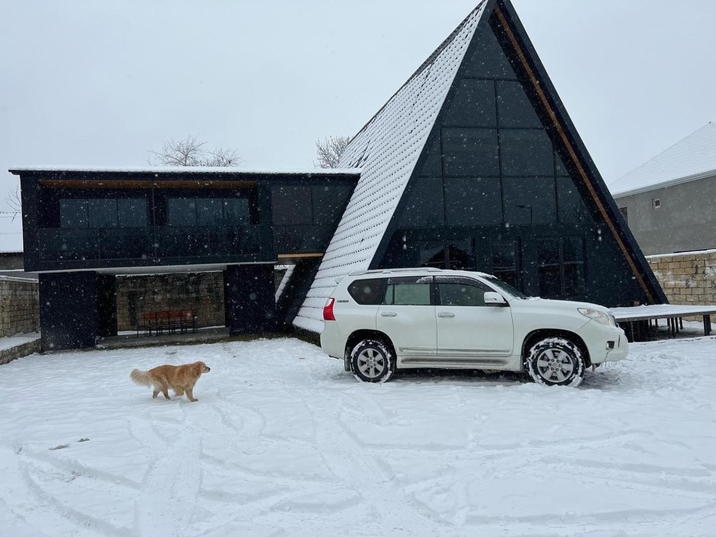 Qafqaz Wood Chalet Qəbələ Zewnętrze zdjęcie